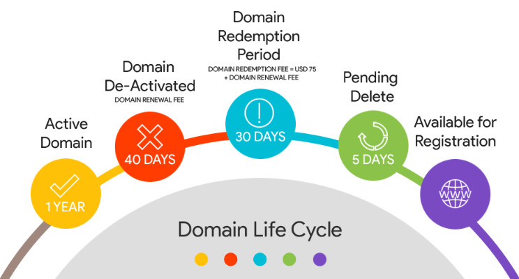 Redemption fee on domain expiry – Why?